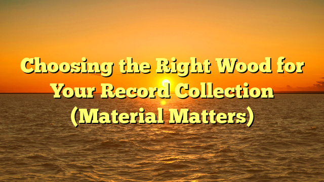 Choosing the Right Wood for Your Record Collection (Material Matters)