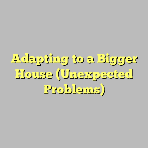 Adapting to a Bigger House (Unexpected Problems)