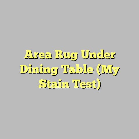 Area Rug Under Dining Table (My Stain Test)