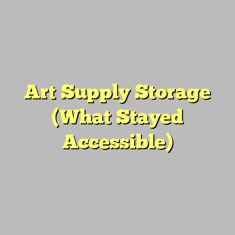 Art Supply Storage (What Stayed Accessible)