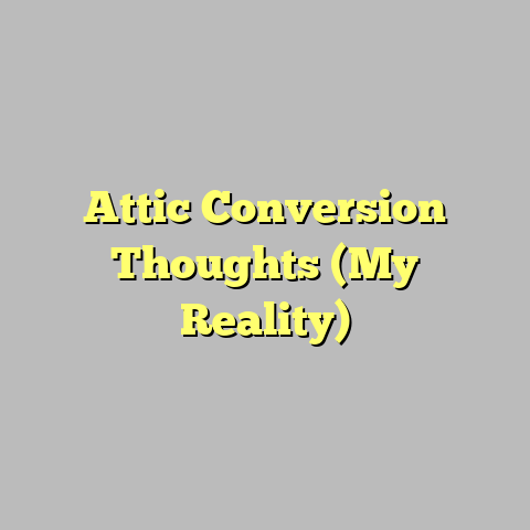 Attic Conversion Thoughts (My Reality)