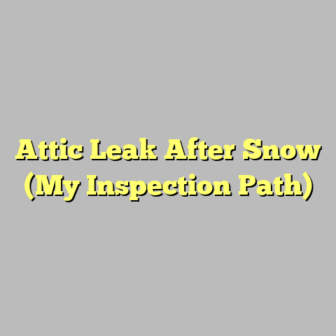 Attic Leak After Snow (My Inspection Path)