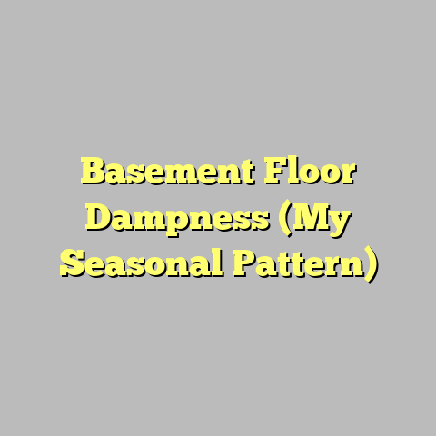 Basement Floor Dampness (My Seasonal Pattern)