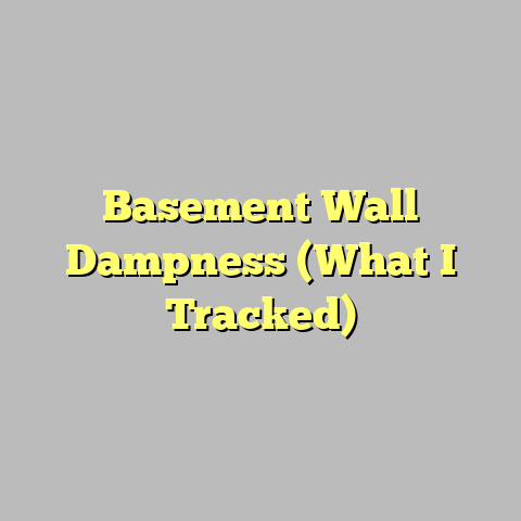 Basement Wall Dampness (What I Tracked)