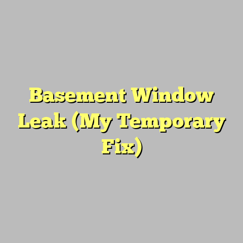 Basement Window Leak (My Temporary Fix)