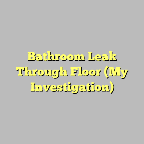 Bathroom Leak Through Floor (My Investigation)