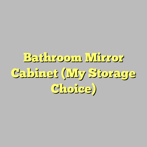 Bathroom Mirror Cabinet (My Storage Choice)