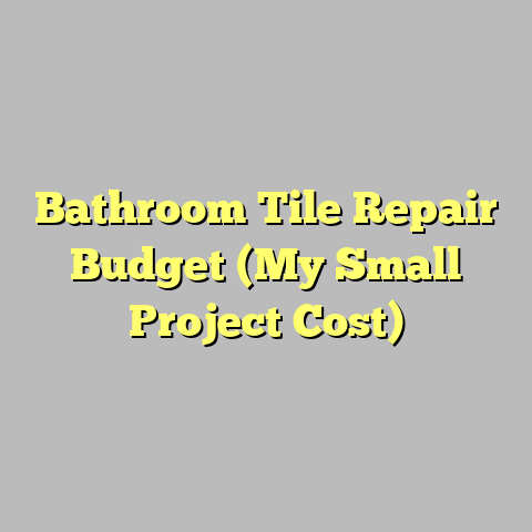 Bathroom Tile Repair Budget (My Small Project Cost)