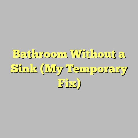 Bathroom Without a Sink (My Temporary Fix)
