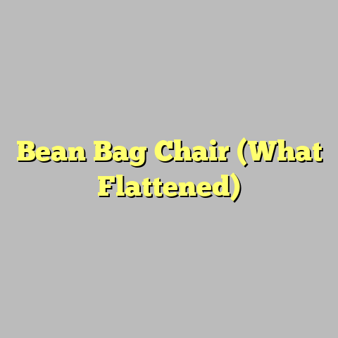 Bean Bag Chair (What Flattened)