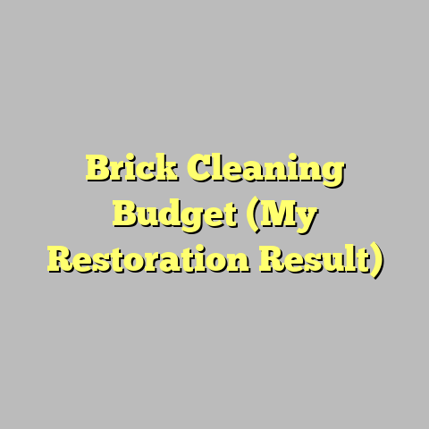 Brick Cleaning Budget (My Restoration Result)