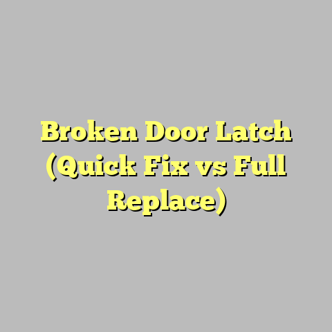 Broken Door Latch (Quick Fix vs Full Replace)