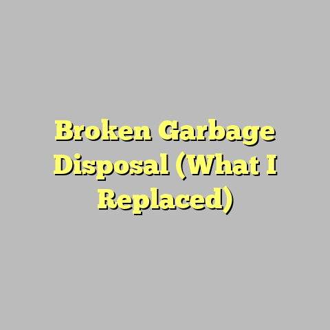 Broken Garbage Disposal (What I Replaced)