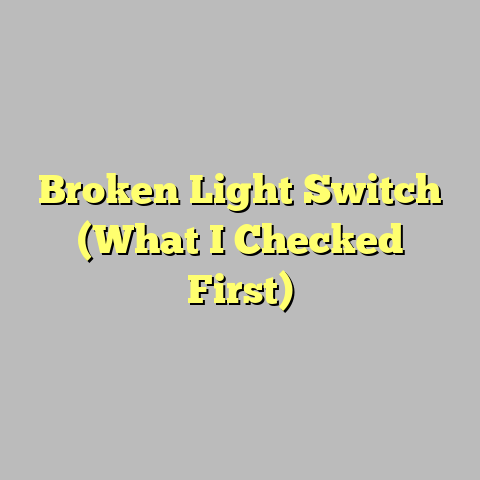 Broken Light Switch (What I Checked First)