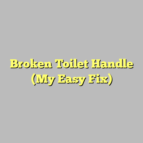 Broken Toilet Handle (My Easy Fix)
