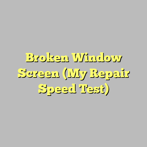 Broken Window Screen (My Repair Speed Test)