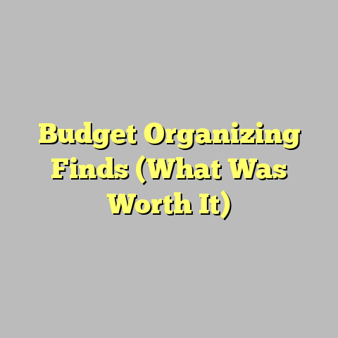 Budget Organizing Finds (What Was Worth It)