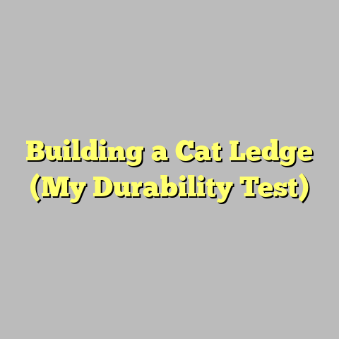 Building a Cat Ledge (My Durability Test)