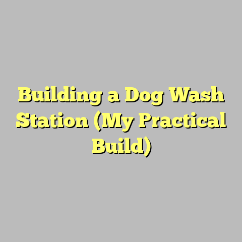 Building a Dog Wash Station (My Practical Build)