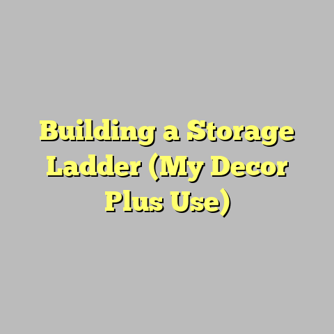 Building a Storage Ladder (My Decor Plus Use)