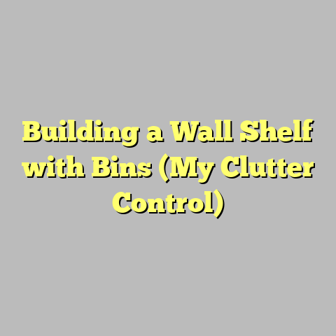 Building a Wall Shelf with Bins (My Clutter Control)