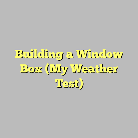 Building a Window Box (My Weather Test)
