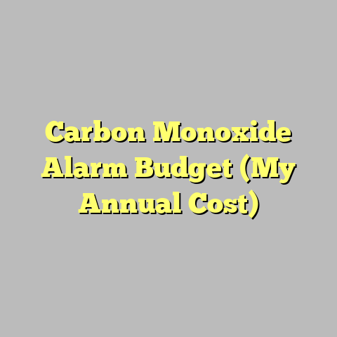 Carbon Monoxide Alarm Budget (My Annual Cost)