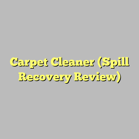 Carpet Cleaner (Spill Recovery Review)