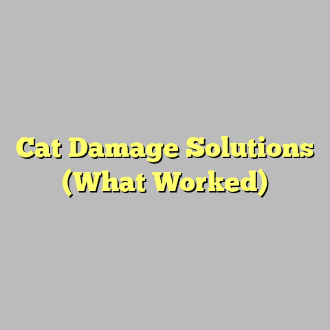 Cat Damage Solutions (What Worked)