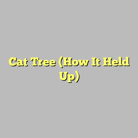 Cat Tree (How It Held Up)