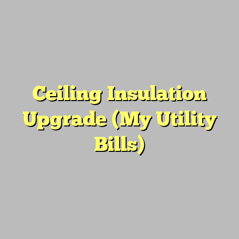 Ceiling Insulation Upgrade (My Utility Bills)