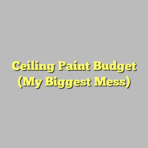 Ceiling Paint Budget (My Biggest Mess)