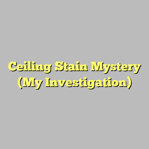 Ceiling Stain Mystery (My Investigation)