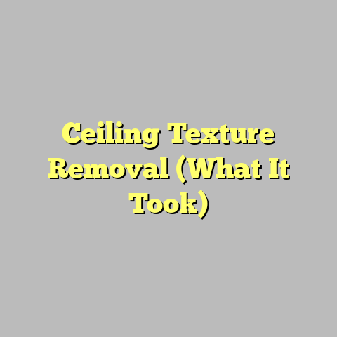 Ceiling Texture Removal (What It Took)