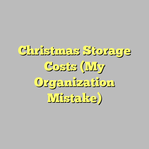 Christmas Storage Costs (My Organization Mistake)