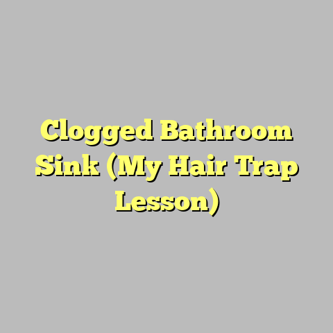 Clogged Bathroom Sink (My Hair Trap Lesson)