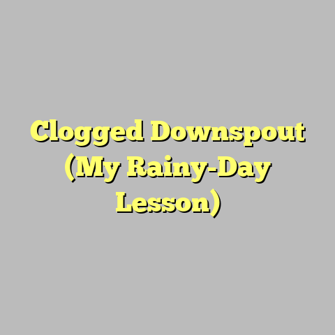 Clogged Downspout (My Rainy-Day Lesson)