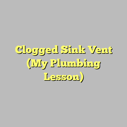 Clogged Sink Vent (My Plumbing Lesson)
