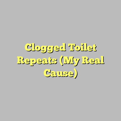 Clogged Toilet Repeats (My Real Cause)