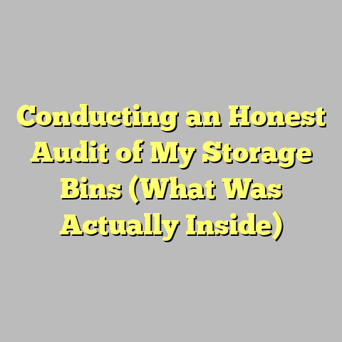 Conducting an Honest Audit of My Storage Bins (What Was Actually Inside)