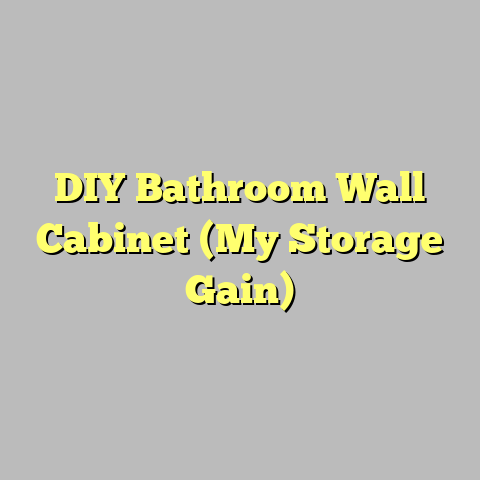 DIY Bathroom Wall Cabinet (My Storage Gain)