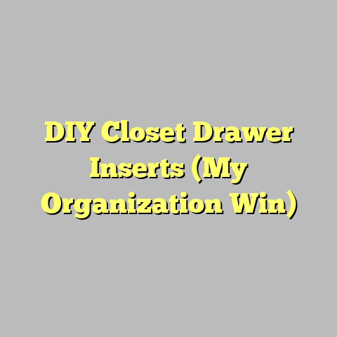 DIY Closet Drawer Inserts (My Organization Win)