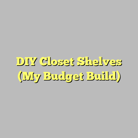 DIY Closet Shelves (My Budget Build)