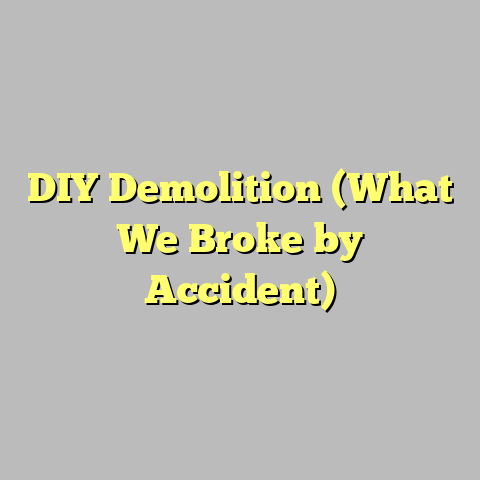 DIY Demolition (What We Broke by Accident)