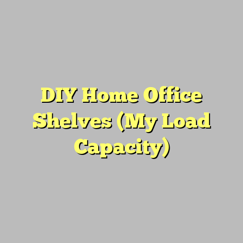 DIY Home Office Shelves (My Load Capacity)