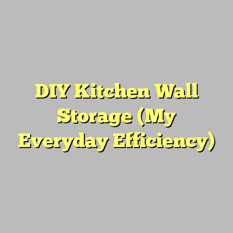 DIY Kitchen Wall Storage (My Everyday Efficiency)
