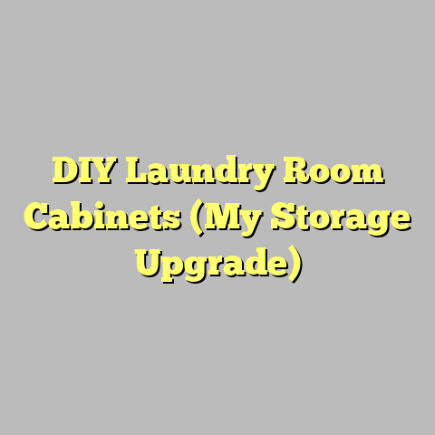 DIY Laundry Room Cabinets (My Storage Upgrade)