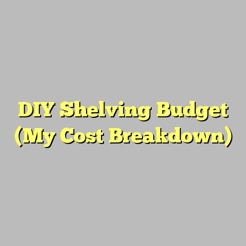 DIY Shelving Budget (My Cost Breakdown)