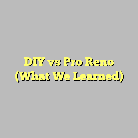 DIY vs Pro Reno (What We Learned)