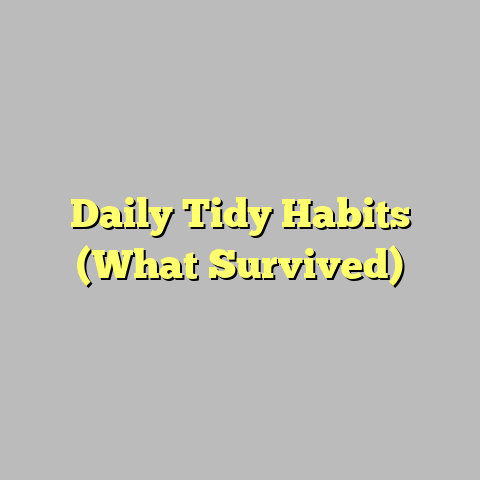 Daily Tidy Habits (What Survived)